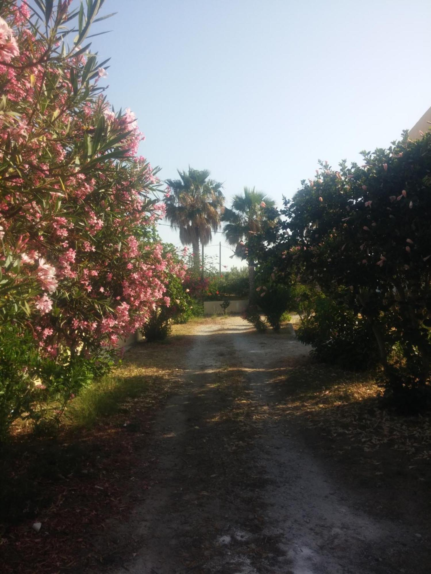 Ζini 2 Villa Kefalos  Exterior photo