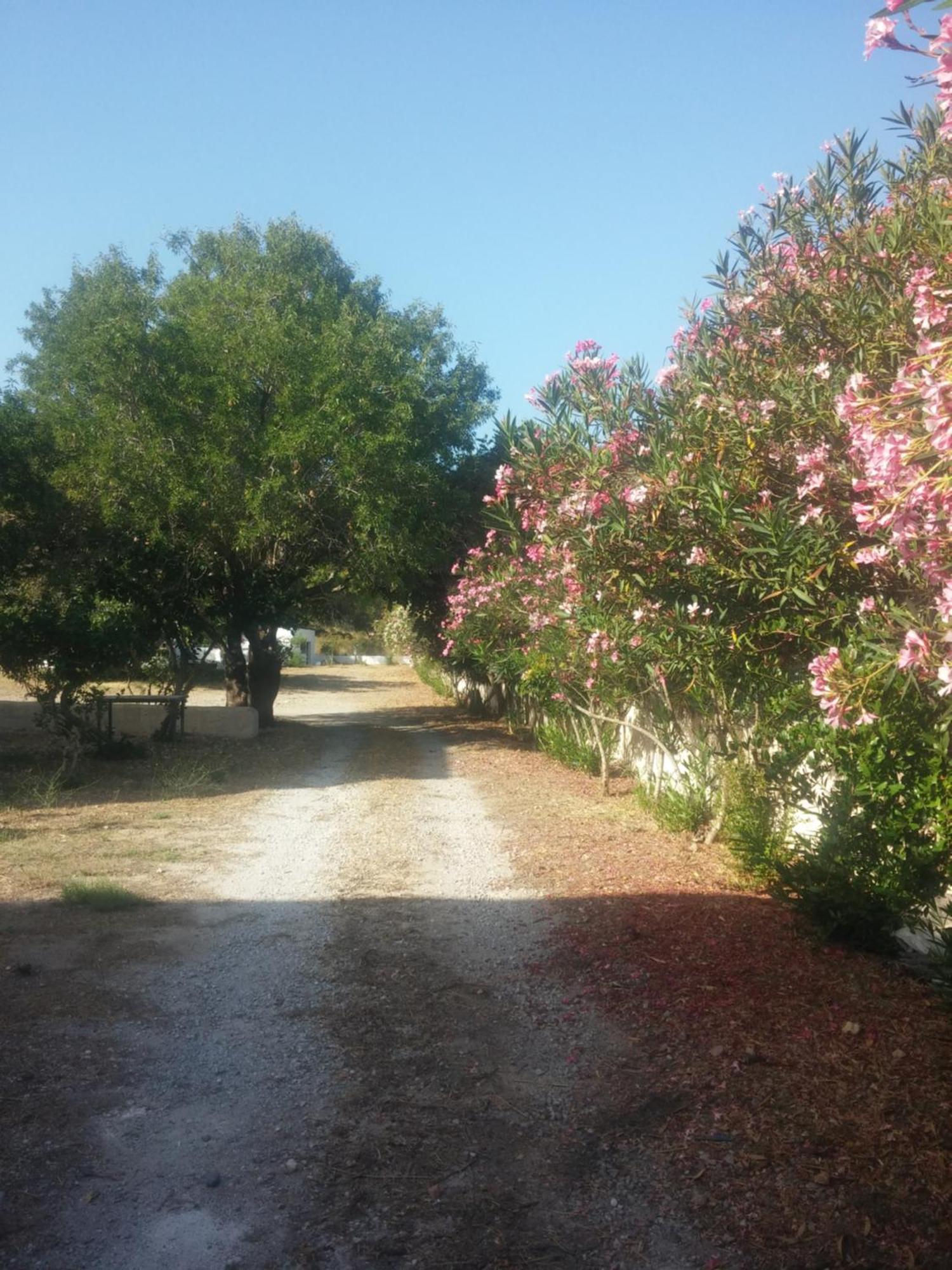 Ζini 2 Villa Kefalos  Exterior photo